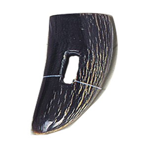 Horn Claw Button and Pendants 14582