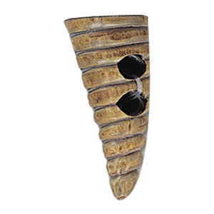 Horn Claw Button and Pendants 14586
