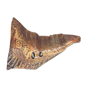 Horn Claw Button and Pendants 14595