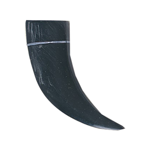 Horn Claw Button and Pendants 14616