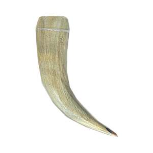 Horn Claw Button and Pendants 14621