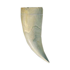 Horn Claw Button and Pendants 14625