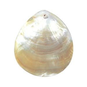 MOP Shell Pendants 14668