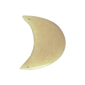 Resin Claw Pendants 14748