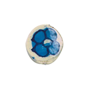 Porcelain Beads Hand painted Beads 14815