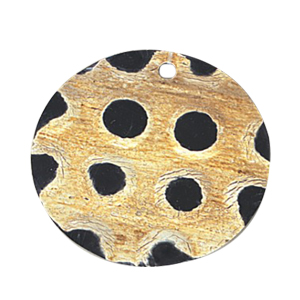 Horn Claw Button and Pendants 14882