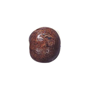 Dyed Round Wood Beads 13128