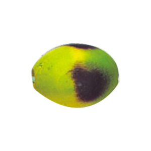 Dyed Oval Wood Beads 13169