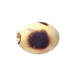 Dyed Oval Wood Beads 13170