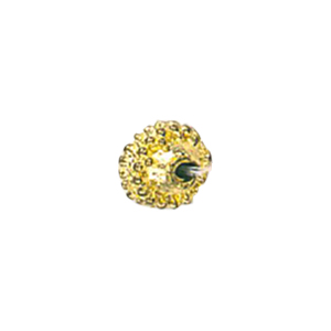 Zinc Alloy casted beads Gold plated 13640
