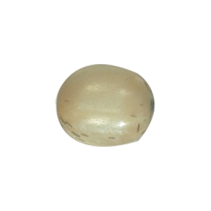 Resin Beads 15576
