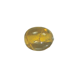 Resin Beads 15597