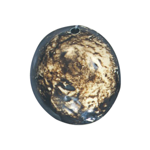Horn Pendants 15681