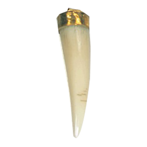 Resin Claw Pendants 15705