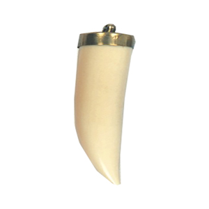 Resin Claw Pendants 15722