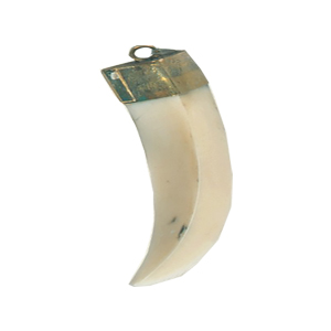 Resin Claw Pendants 15724