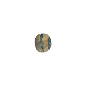 Natural Horn Beads 15776