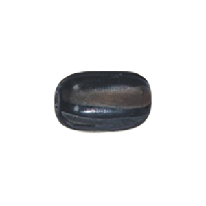 Natural Horn Beads 15781