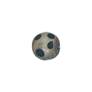 Natural Horn Beads 15784