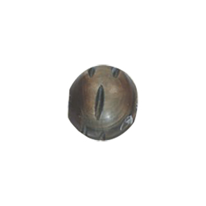 Natural Horn Beads 15786