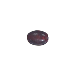 Natural Horn Beads 15815