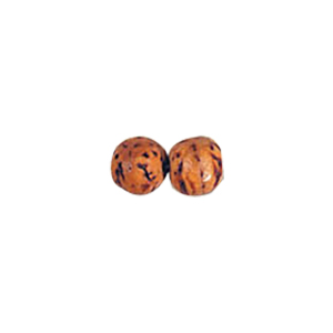 Plain Wood Beads 9554